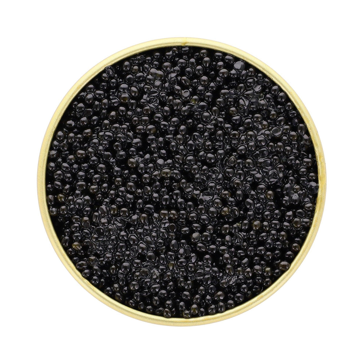 Hackleback - Petrovich Caviar 