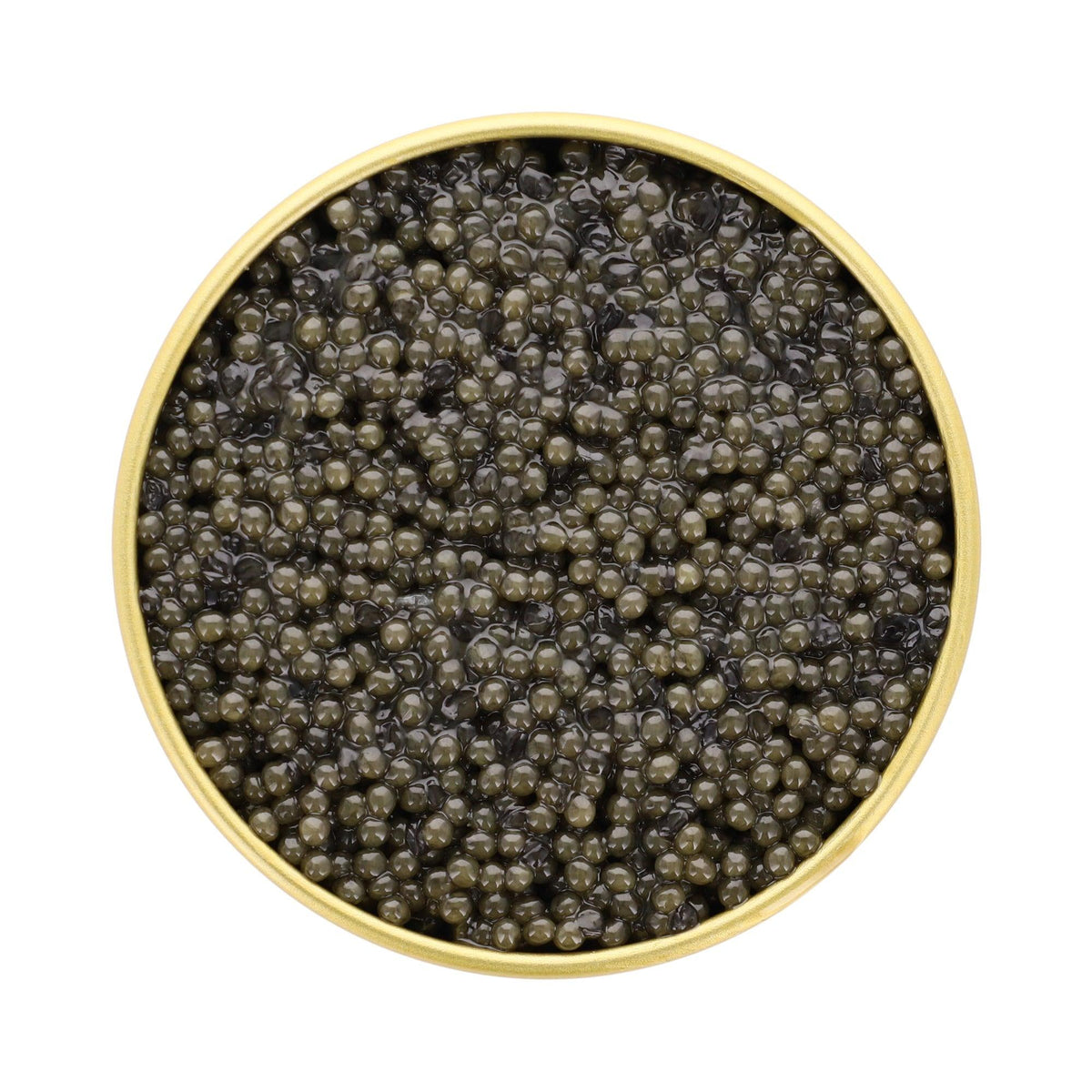 Paddlefish - Petrovich Caviar 